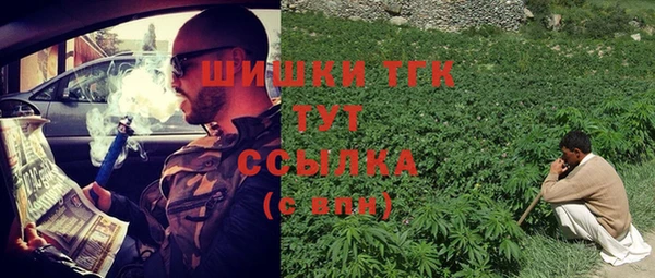 стаф Гусь-Хрустальный