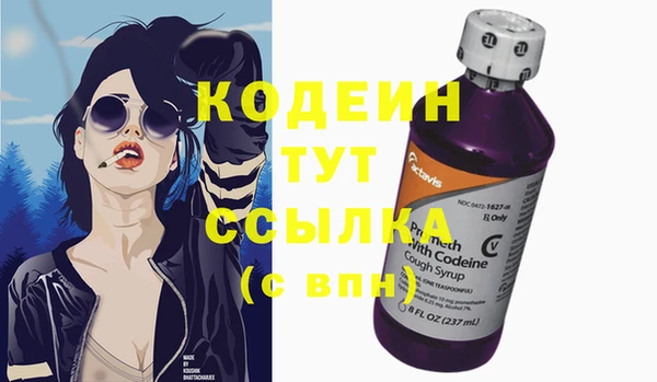 стаф Гусь-Хрустальный