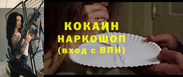 a pvp Гусев