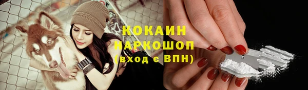 стаф Гусь-Хрустальный