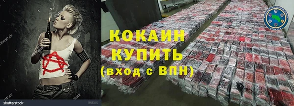 a pvp Гусев