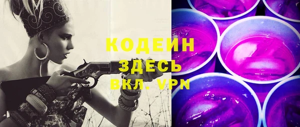 стаф Гусь-Хрустальный