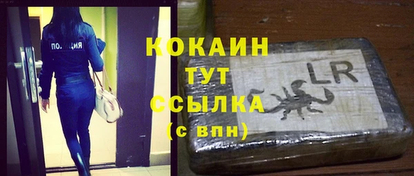 a pvp Гусев